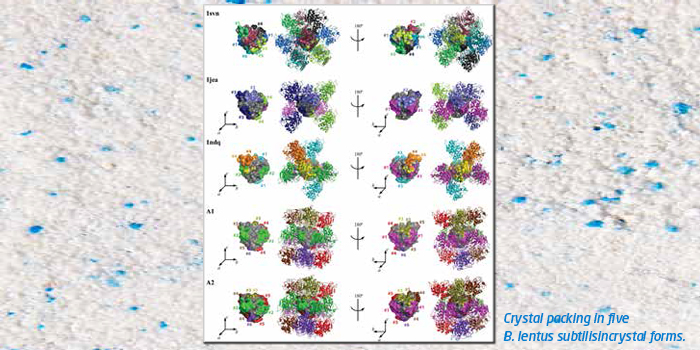 X Rays Aid Production Of Industrial Enzymes Dtu Chemistry - 