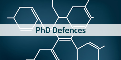 phd guide dtu