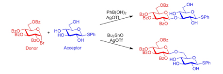 DTU Chemistry - Robert Madsen - Glycoside Synthesis